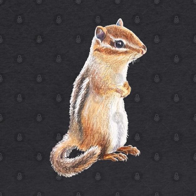 Chipmunk drawing by EmilyBickell